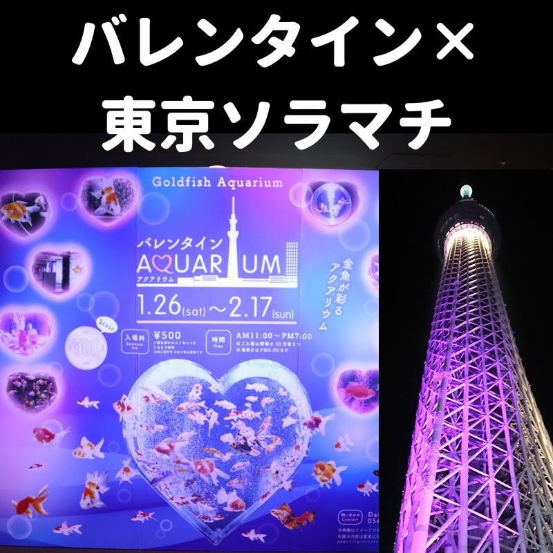 f:id:pHp:20190206212512j:plain f:id:pHp:20190206212512j:plain