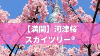 写真で迷わない 品川駅から東京スカイツリー 押上駅への行き方 アクセス 乗り換え 京急 浅草線 新幹線 ソラマチ おしあげ探検隊