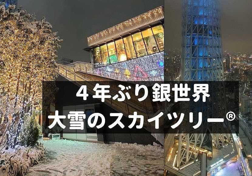 大雪 東京スカイツリー が銀世界になりました 写真 おしあげ探検隊